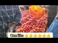 14 09 24 madanapalle tomato market price today today tomato market rate in madanapalle today