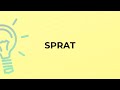 What is the meaning of the word SPRAT?