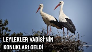 Leylekler Vadisi'nin konukları geldi