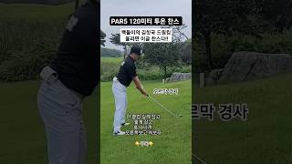 파5 투온찬스 백돌이의 꿈 올리면 이글이다!!