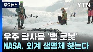 NASA가 만든 뱀 로봇... 외계 생명체 찾는다 / YTN