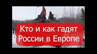 Как Арестович пудрит носик и мозги украинцам? Поставит ли Германия \