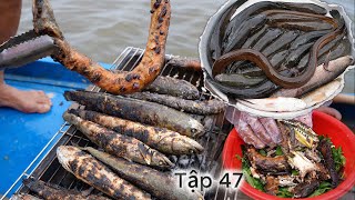 cuộc sống  Săn B.ắt Mùa Nước Nổi  năm 2025 - Tập 47 | Gấc Quê