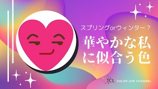 【パーソナルカラー】スプリングとウィンターの鮮やかな色を着こなすアナタはビビッドタイプ！