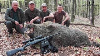 🐗Keilerjagd 2019-Record Gold Medal Wild Boar!Tagjagd auf Gold Medaillen Keiler