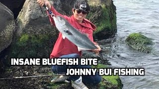 Insane Bluefish Bite, Spring Bluefish, NJ 4/25/16