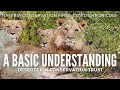 E53: A BASIC UNDERSTANDING - Desert Lion Conservation Trust