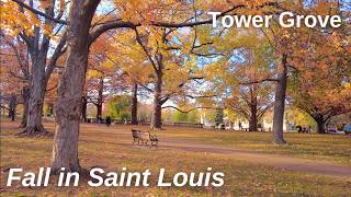 Relaxing Walk in Tower Grove | Fall Foliage in Saint Louis, Missouri | Autumn in Tower Grove Park 4K