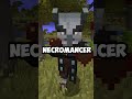 I Started Minecraft's Deadliest Raid (on accident) | Mod is Leo's Illagers by leo4096