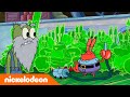 SpongeBob Schwammkopf | Mr. Krabs Urururgroßvater | Nickelodeon Deutschland