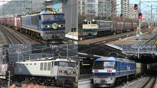 【2024年貨物列車撮り納め】年末年始運休前に関西で総勢31本の貨物列車を撮影！【2024,12,26】