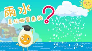 雨水是从哪里来的?#Where does the rain come from?#蛋博士科普小百科#Dr.O Explore Science