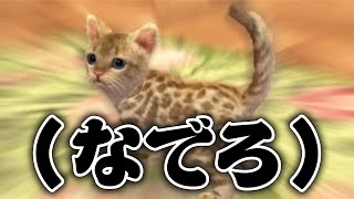 ネコも飼える神ゲー【ニンテンドッグス】