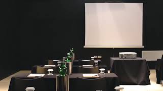 FREEDIO: "Conference room " royalty free HD stock video footage