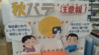 秋田市薬局 秋バテ 夏の疲れ 胃腸の冷え