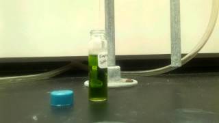 Evaporation of solvent