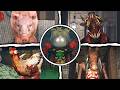 The Butchery: Parts 1 to 5 | Full Walkthrough | Roblox
