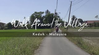 Pt 1 Beautiful Malaysia Village Life - Walk Around - Malaysia Countryside - Kedah, Malaysia.