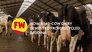 How a 540-cow dairy benefited from recycled bedding