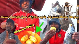 بيلوطة بطاطا مسلوقة. طعم صيد شرغو و الدرعي ولبوري.بلازيت ولارملا.مع رايس تجو في بحر سلا