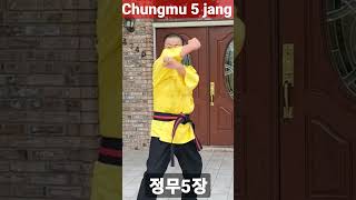 chungmu 5jang blue belt 정무 5 장 청띠