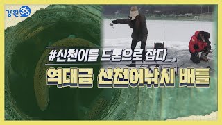 [강원365]프로와 초보의 산천어 얼음낚시 대결과 드론낚시. 3초만에 낚는 활성도 최고의 산천어