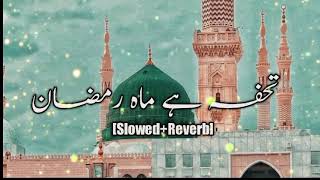 Tohfa Hai Ramzan || Gulam Mustafa Qadri || New Naat Sharif 2023|| Slowed+Rewerb