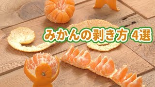 冬の定番どう食べる？みかんのむき方4選