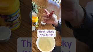 What Does Cervical Mucus Look Like