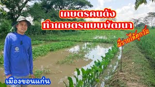 ทำนาไม่คุ้ม เลยเปลี่ยนมาทำเกษตรแบบพัฒนา ที่เมืองขอนแก่น