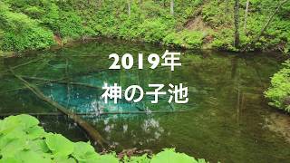 《4K》 2019年 神の子池 北海道 清里町 4K映像 CANON EOS 一眼レフ