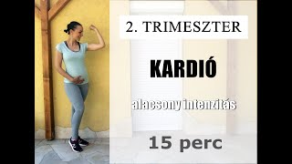 KISMAMA torna #1 - 2. TRIMESZTER - Alacsony intenzitású KARDIÓ edzés! - Légy fitt kismama!