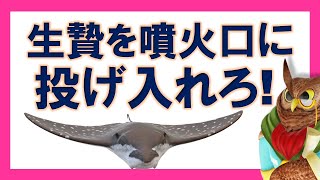 【ジムクレイマー】生贄の乙女を噴火口に投げ入れろ！パニックは一文の得にもならない！【まとめ・切り抜き】