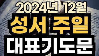 2024년 12월 대표기도 예시ㅣ12월 성서 주일 예배 대표기도 ㅣ12월 2주 대표기도문 예문ㅣ대표기도가 어려운분들을 위한 기도예시문ㅣ2024년 주일 예배 대표기도 준비