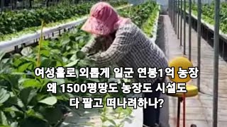 여성홀로 일군 1500평의 농장 그녀는 왜 지금 1500평의 땅도 농장도 시설도 다 팔고 떠나려하나?