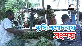 কৃষিখাতে প্রধানমন্ত্রীর প্রনোদনা ঘোষণার পর উত্তরের কৃষকদের মাঝে স্বস্তি