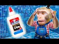 Mr. Monkey Removes Sticky Glue 🐒😂| Mr. Monkey Animal