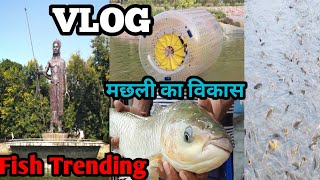 मछली से इतना पैसा 🤔 ||मछली लोक  बेतिया🐬 || Fish Farming Trening