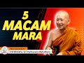 5 MACAM MARA || Y.M BHIKKHU SRI PANNAVARO MAHATHERA || CERAMAH DHAMMA || KALYANAMITTA CHANNEL