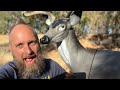 Big Shot Mule Deer Target Review with MFJJ