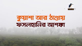 কনকনে ঠাণ্ডায় বিপর্যস্ত  বিভিন্ন এলাকায় জনজীবন