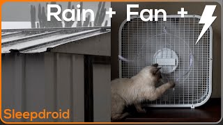 ►Fan Noise | Fan and Rain Sounds for Sleeping | Hard Rain on a Tin Roof | Metal Roof and Box Fan