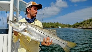 Snook, Mahi and Bonito! ft. Scott Martin \u0026 Monster Mike