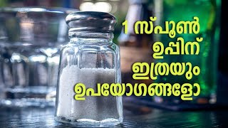 1 സ്പൂൺ ഉപ്പിന് ഇത്ര ഉപയോഗങ്ങളോ | Kitchen Tips | Life Hacks | Uses of Salt