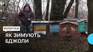 Як зимують бджоли. Розповідає пасічник з Рівненщини Богдан Лимар