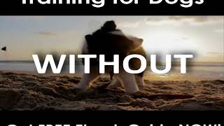 How to Train a Pekingese