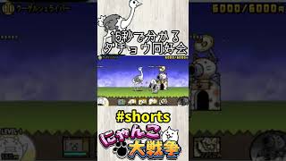 15秒で分かるダチョウ同好会【にゃんこ大戦争】#shorts