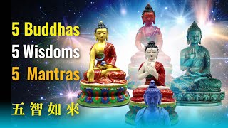 Five Buddhas, 5 Wisdoms, 5 Mantras: Their Practices, Symbols, Seed Syllables, and Visualizations