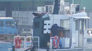 尾道水道　海勇丸　はしけ　タグボート