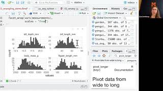 Pivoting demo